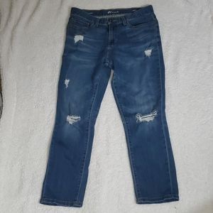 Stylus Boyfriend Crop Jeans